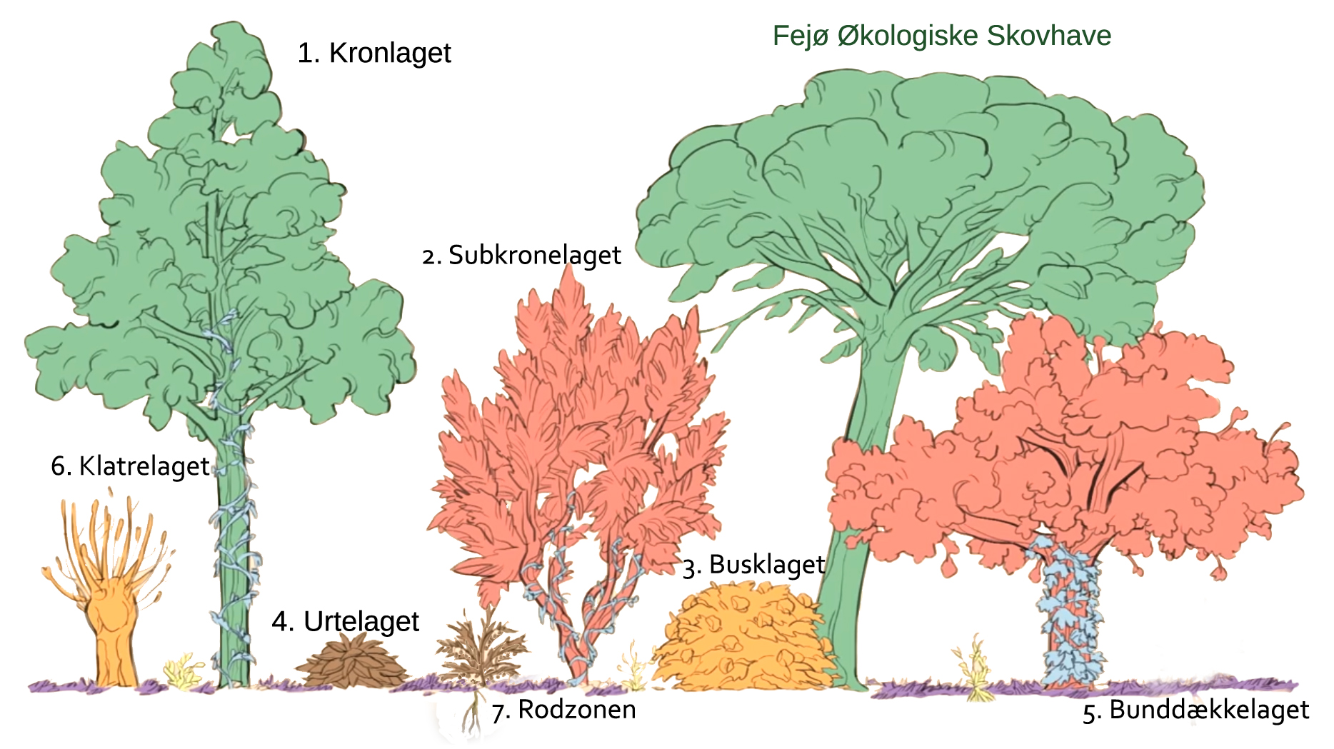 De 7 lag i farver kopier